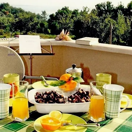 Salu Hotel Premantura