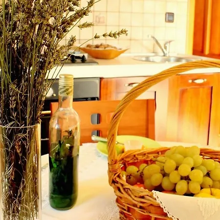 Salu Hotel Premantura