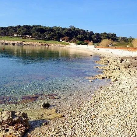 Hotel Salu